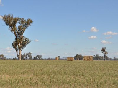 . Henty-walla Road, Culcairn