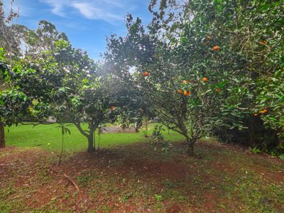 140 Hosie Road, Tarzali