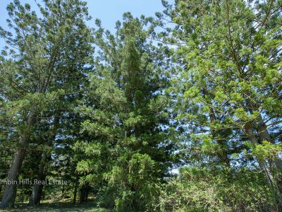 357 Stony Chute Road, Nimbin