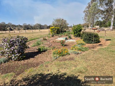 73 Tingoora Charlestown Road, Tingoora