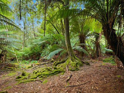 107 Wielangta Road, Kellevie