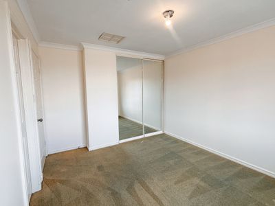 8 / 243 Piccadilly Street, West Lamington