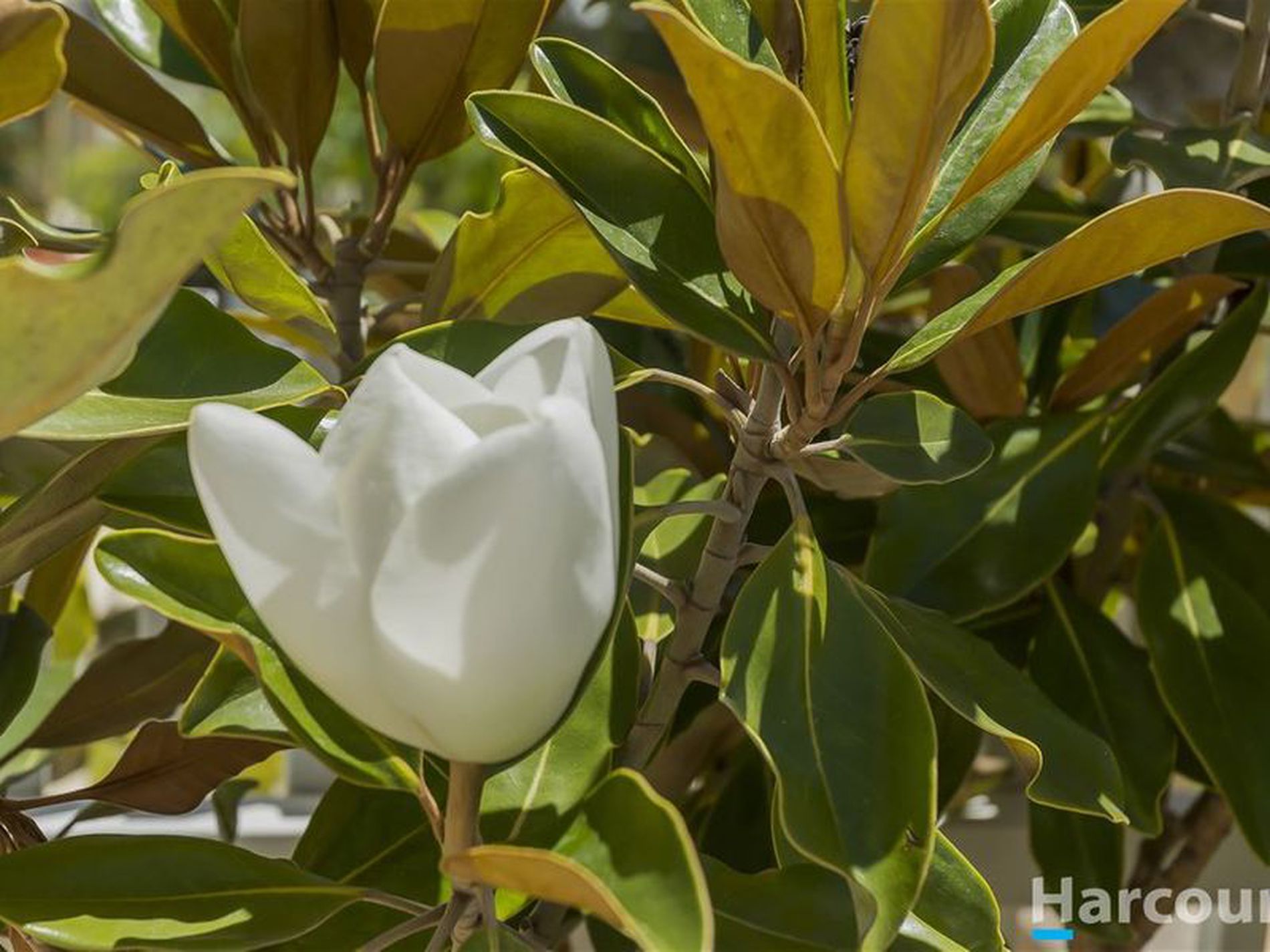 2 Sunny Close, Yanchep