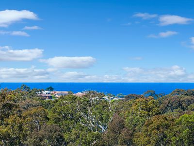 17 Bowerbird Place, Malua Bay