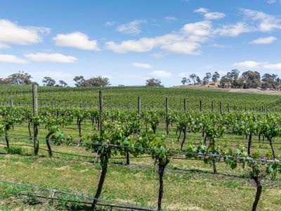 19 Drummonds Lane, Heathcote
