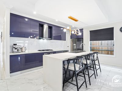 53 Ribbonwood Crescent, Marsden Park