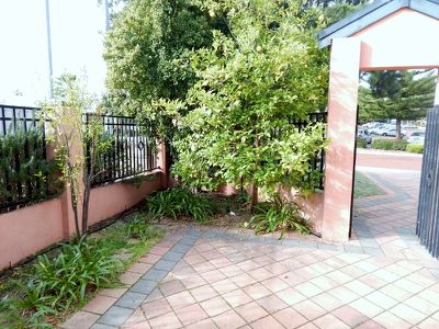 189 Westview Street, Scarborough