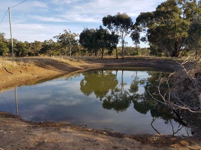 458 Sir Ivan Dougherty Drive, Dunedoo