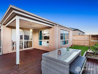6 Wenn Avenue, Clyde North
