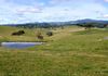 523 Griffin Road, Orange