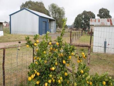 445 Up River Road, Carlyle