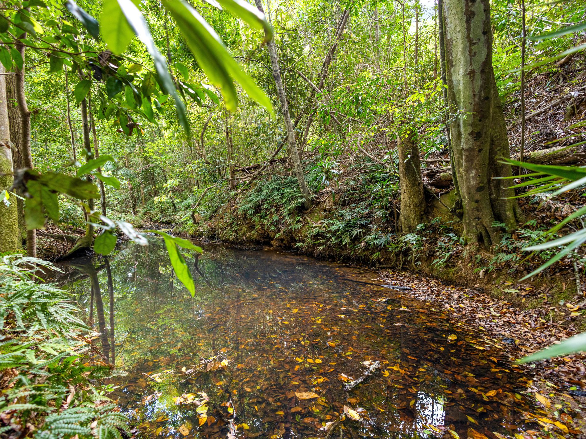 10 Wust Road, Cooroy