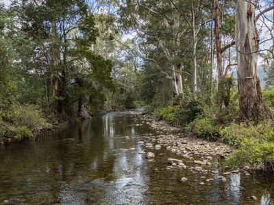 Lot 1, Lonnavale Road , Lonnavale