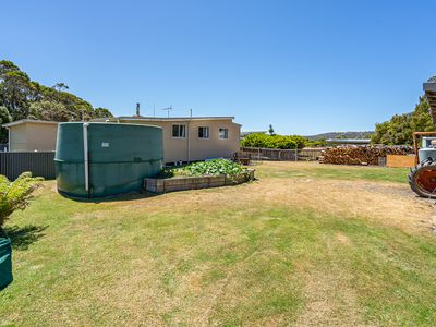 800 Cockle Creek Road, Recherche