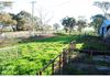 415 Davys Plains Road, Cudal