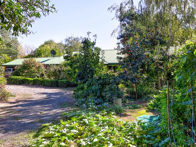 1151 Indigo Creek Road, Indigo Valley