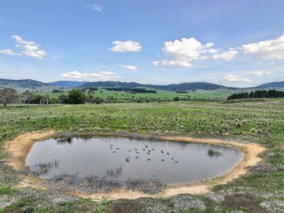 79 Mackeys Lane, Wyanbene