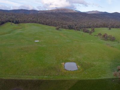 Coopers Track, King Valley
