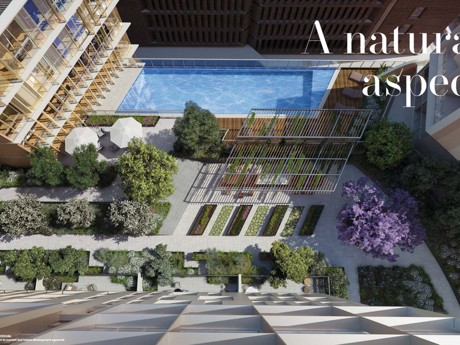 1704 / 82 Hay Street, Sydney