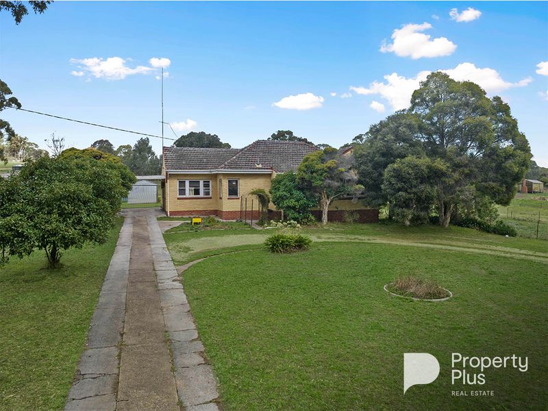 Real Estate Agent Bendigo Property Plus Real Estate