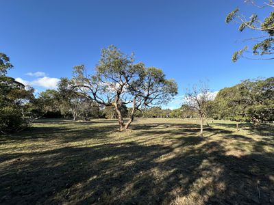 Lot 50, Banya Road South, Millicent