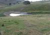 * Williamson Road, Lewis Ponds, Orange