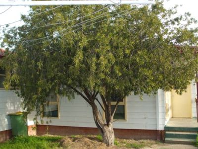 2 Garnet Place, Lavington
