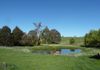 225 Favell Road, Orange