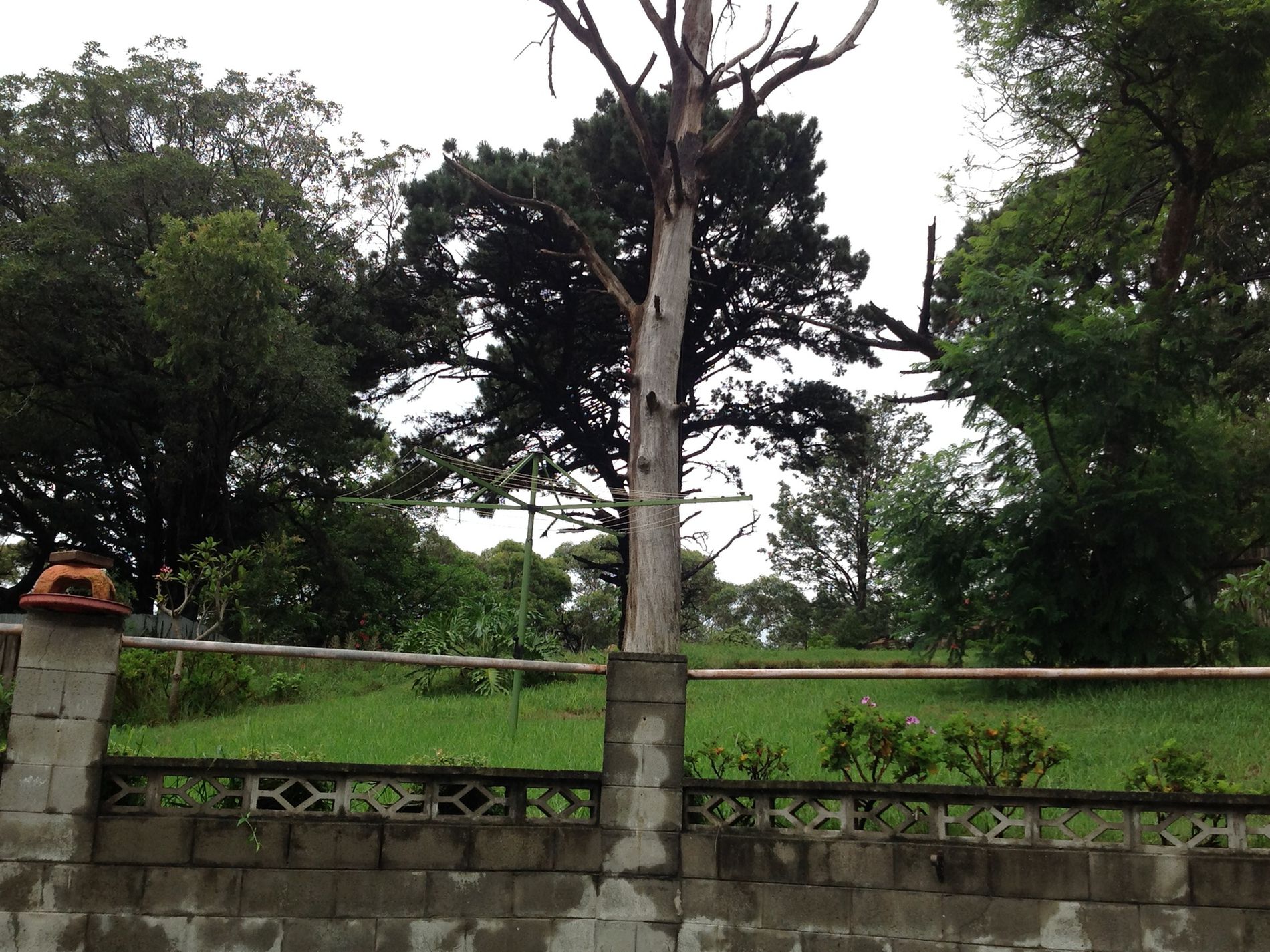 15 Jones Avenue, Primbee