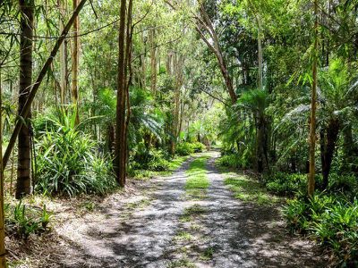 726 McKinnon Drive, Cooroibah
