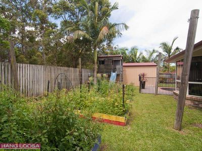 6 Scribbly Gum Court, Tewantin