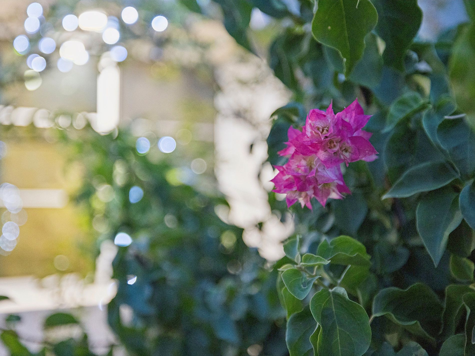 13 Pershing Link, Harrisdale