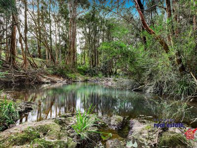 961 Comboyne Road, Byabarra