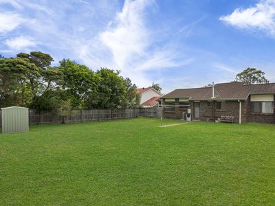 11 Coleman Crescent, Springwood