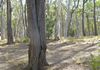 2019 Burrendong Way, Mullion Creek
