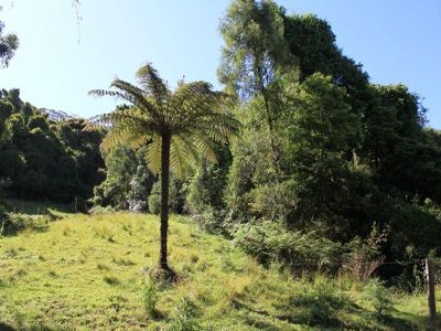 Lot 307 Lot 307 Carrington Road, Cambewarra