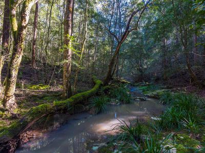 144 Stringybark Lane, Toonumbar