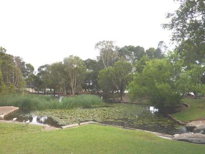 1 / 6 Clio St, Wiley Park