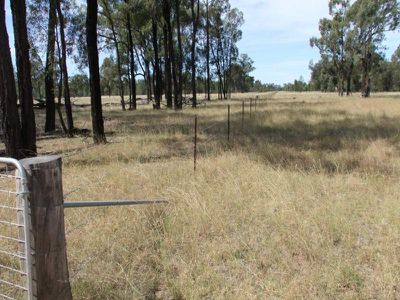 4096 Goolhi Road, Gunnedah
