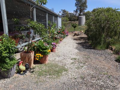 50 Pook Road, Redcastle