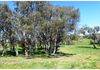 1039 Mitchell Highway, Orange