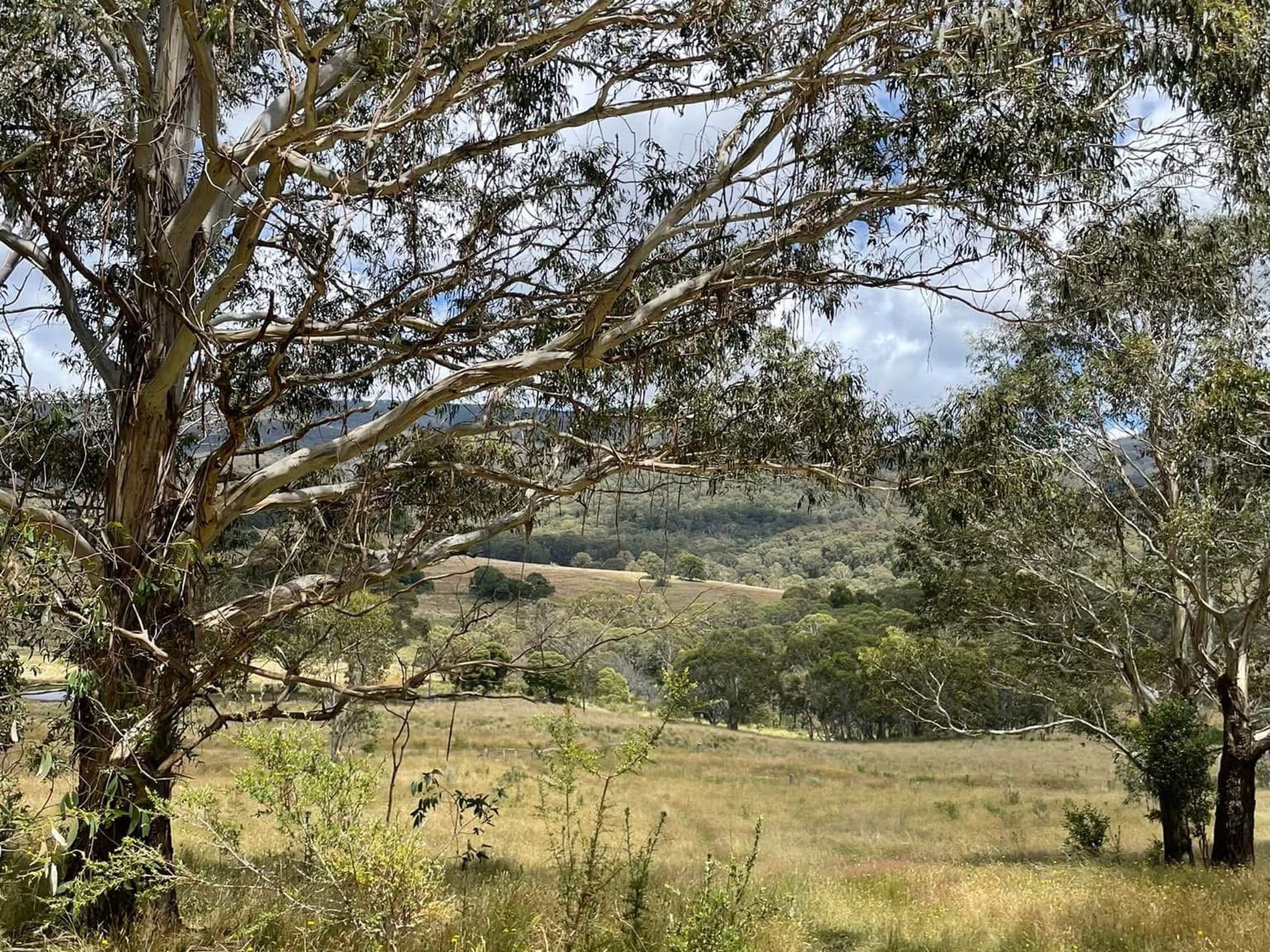 681 Hereford Hall Road, Hereford Hall via, Braidwood