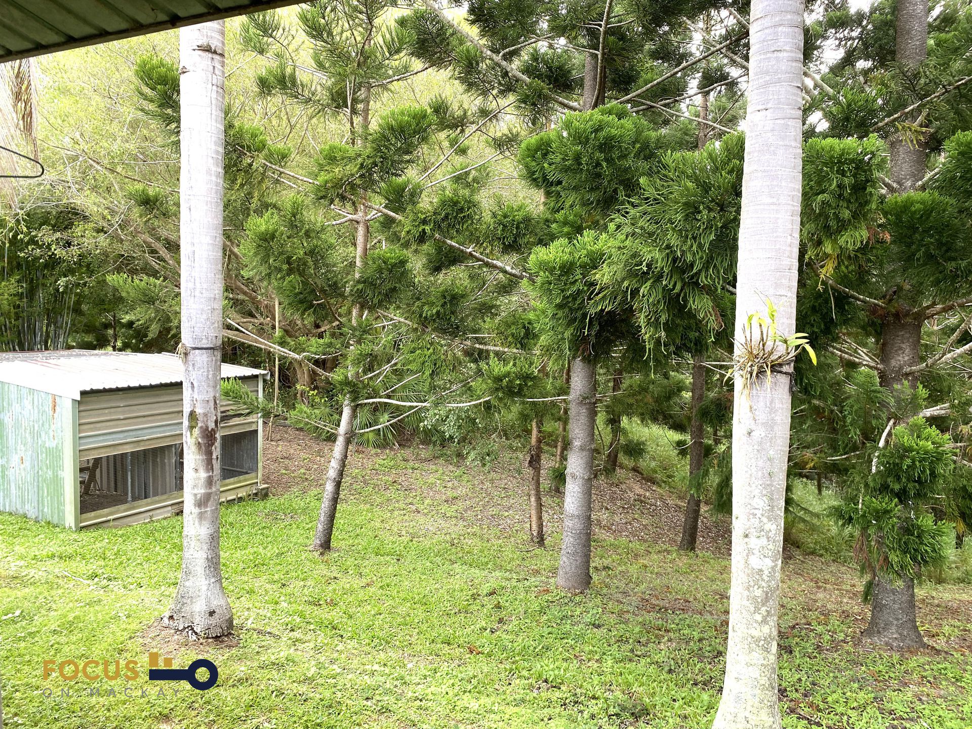 85 Masottis Road, Homebush