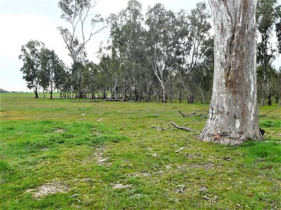 Lot 5 Woolshed Road , Tocumwal