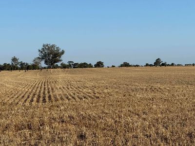 342 Olieview Road, Parkes