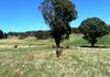 1495 Cargo Road, Orange
