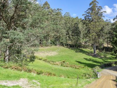 22 Smiths Road, Nicholls Rivulet