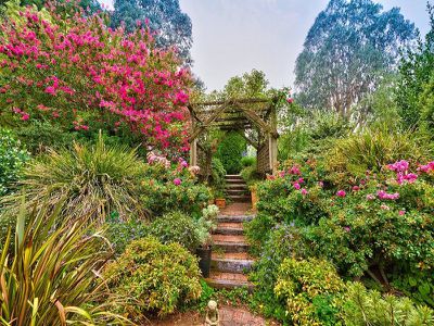 31 Reids Lane, Tawonga