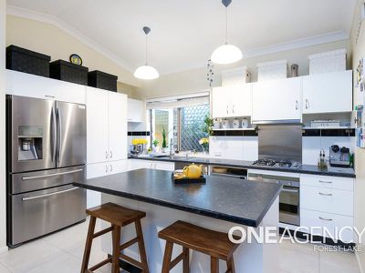 13 Honeysuckle Pl, Forest Lake