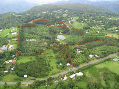 410 Flaxton Drive, Flaxton
